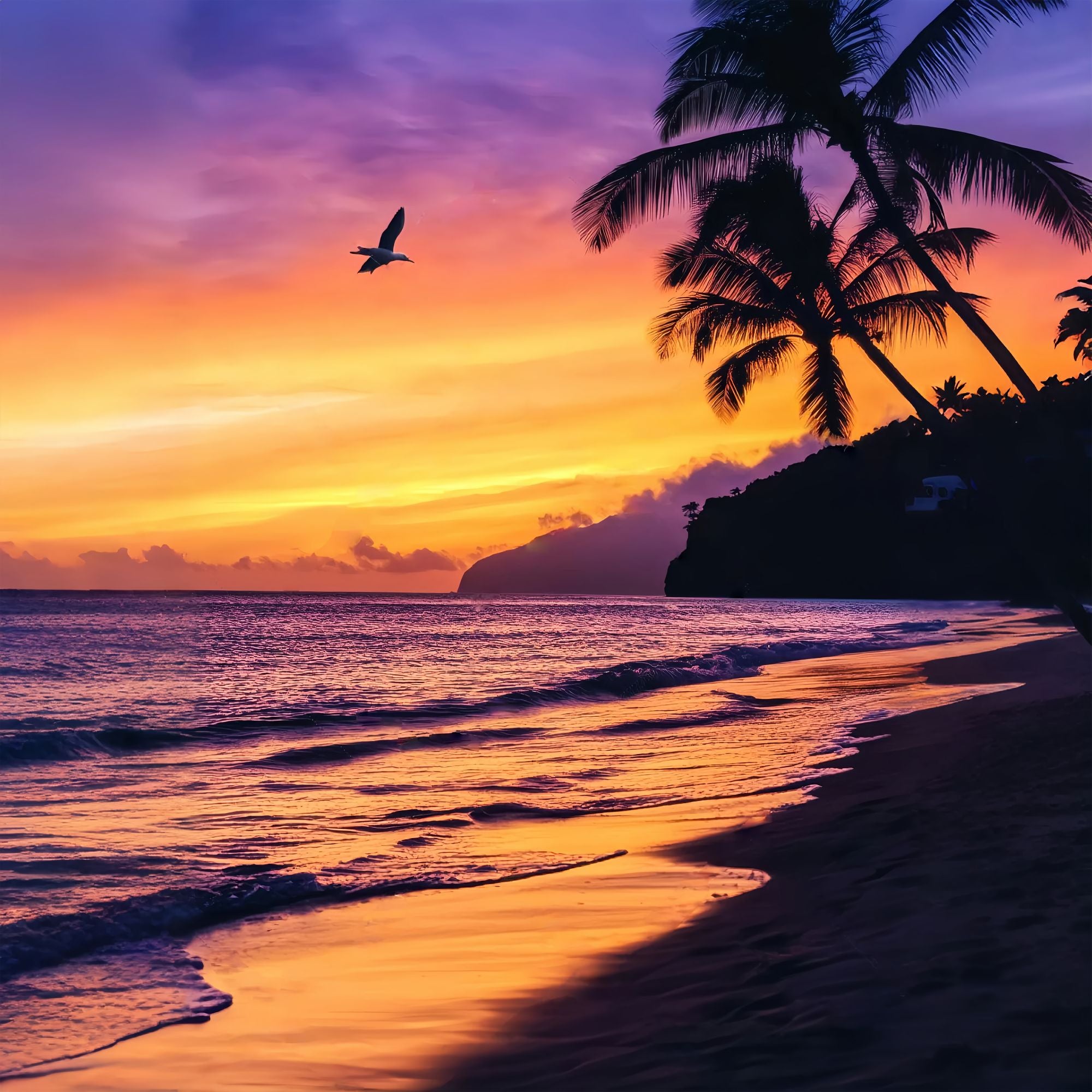 Fall Backdrop Tropical Sunset Palm Silhouette Sunset Backdrop LXX58-163