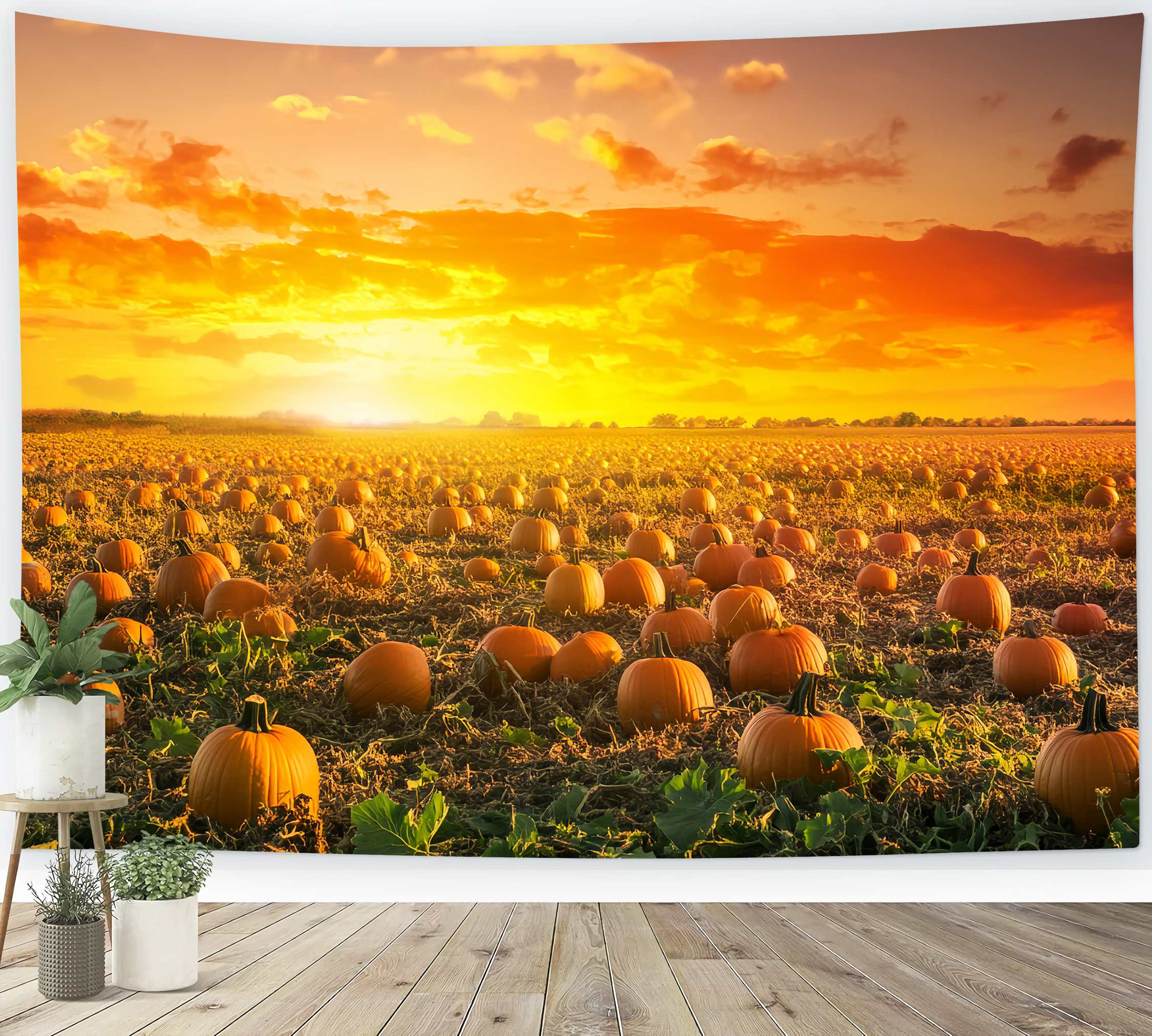 Autumn Fall Backdrop Pumpkin Field Golden Sunset Pumpkin Backdrop LXX58-166