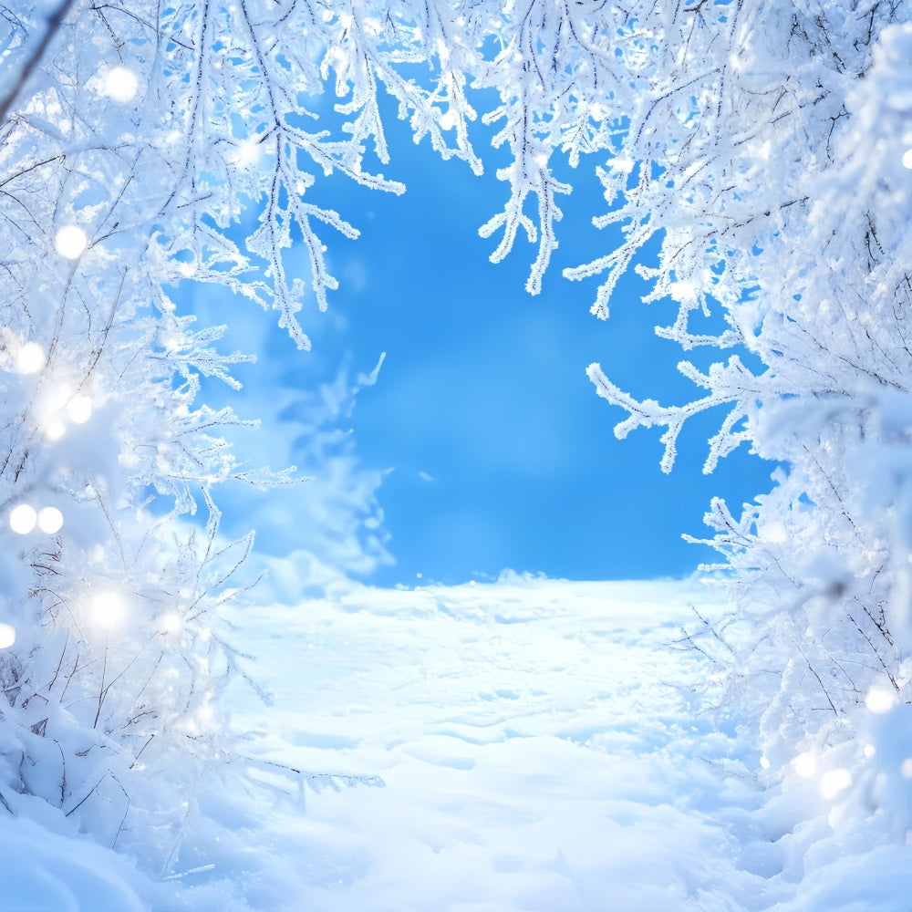 Winter Sky Backdrop Frosty Branches Blue Sky Winter Snow Backdrop LXX58-217