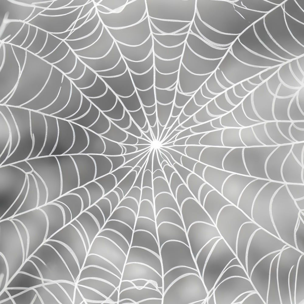 Halloween Color Backdrop Silver Spiderweb Pattern Design Halloween Photo Backdrop LXX59-148