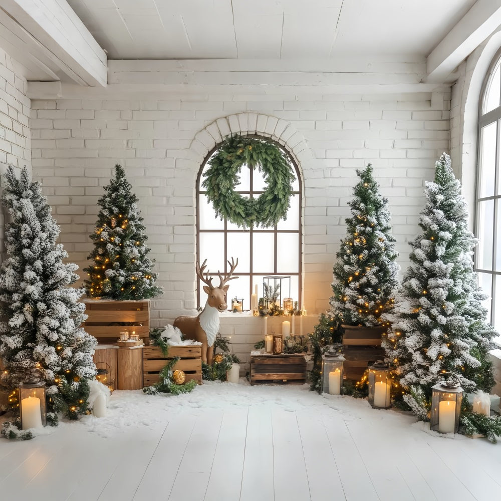 Christmas Tree Backdrop Rustic Reindeer Snowy Pine Lanterns Christmas Backdrop LXX59-170
