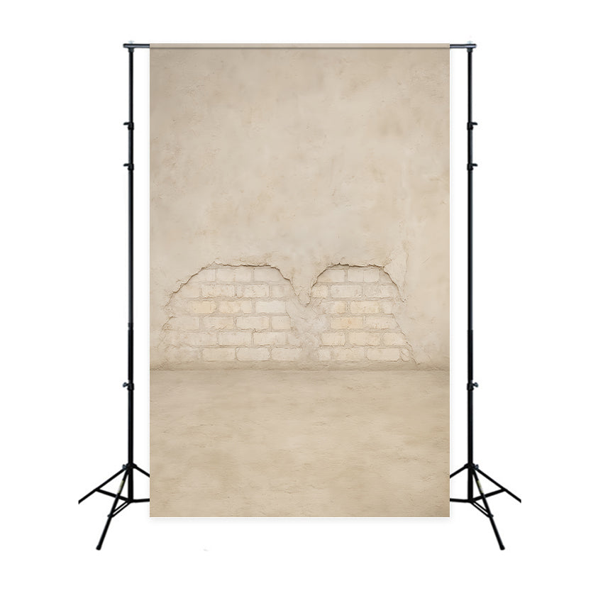 Concrete Wall Backdrop Light Brick Vintage Texture School Portrait Backdrop LXX59-422