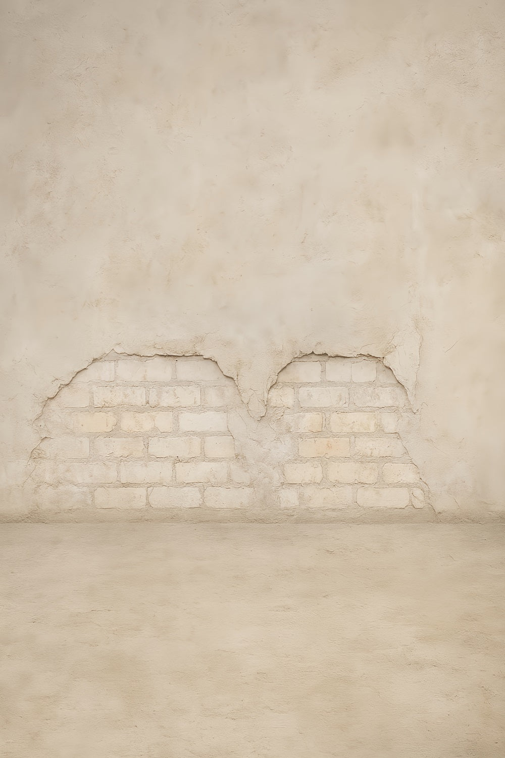 Concrete Wall Backdrop Light Brick Vintage Texture School Portrait Backdrop LXX59-422