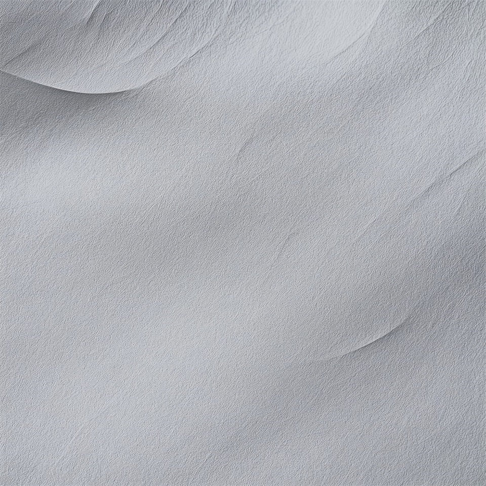 Grey Portrait Backdrop Soft Minimal Plaster Texture School Portrait Backdrop LXX61-26