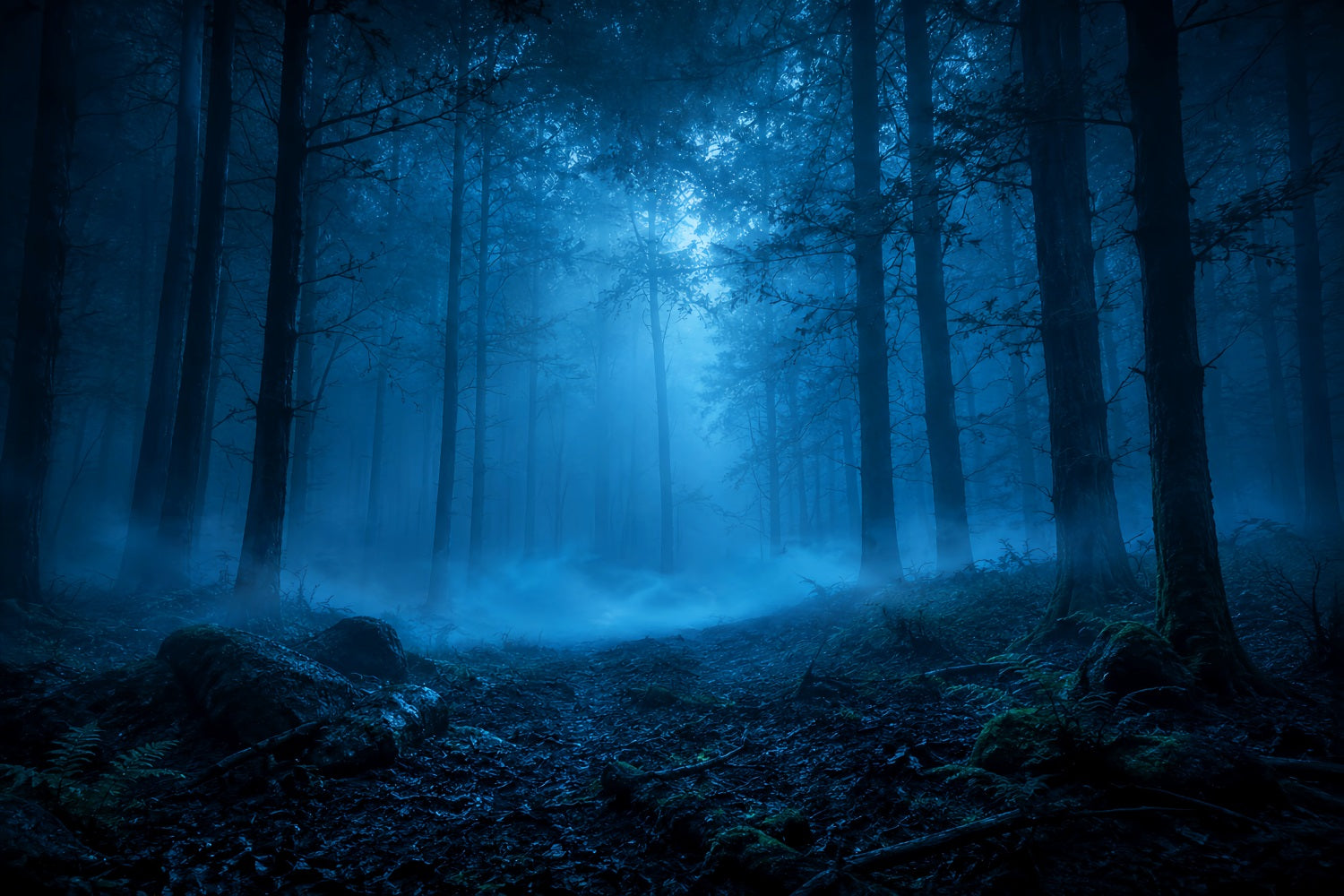 Halloween Forest Backdrop Moonlit Blue Mist Forest Vintage Halloween Backdrop LXX67-141