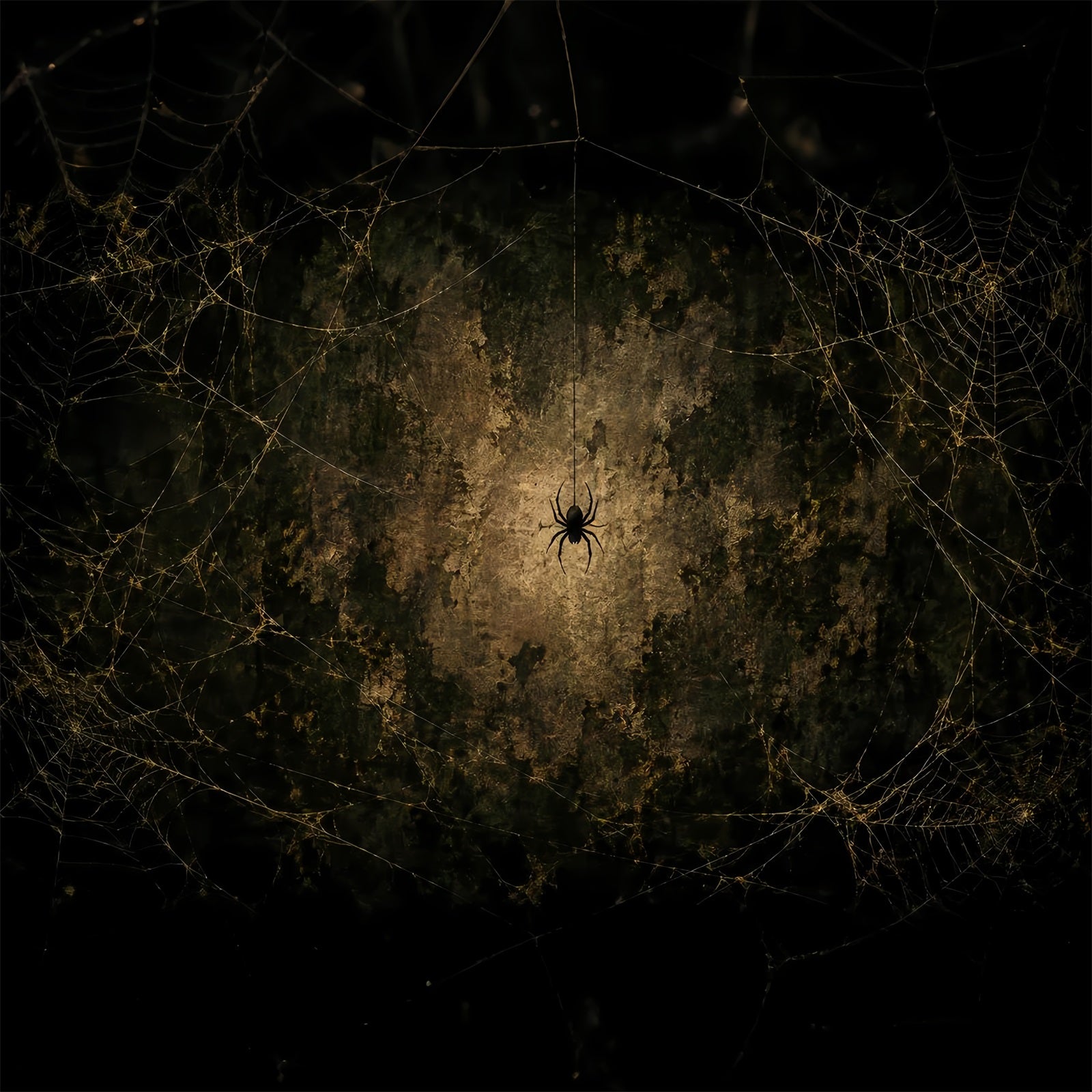 Halloween Backdrop Photo Golden Spiderweb Grunge Wall Halloween Party Backdrop LXX67-169
