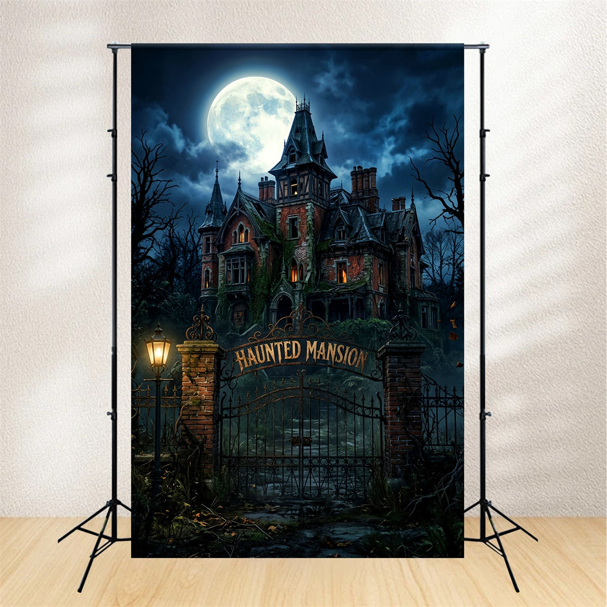 Skull Backdrop Moonlit Haunted Mansion Gate Disney Haunted Mansion Backdrop LXX67-242