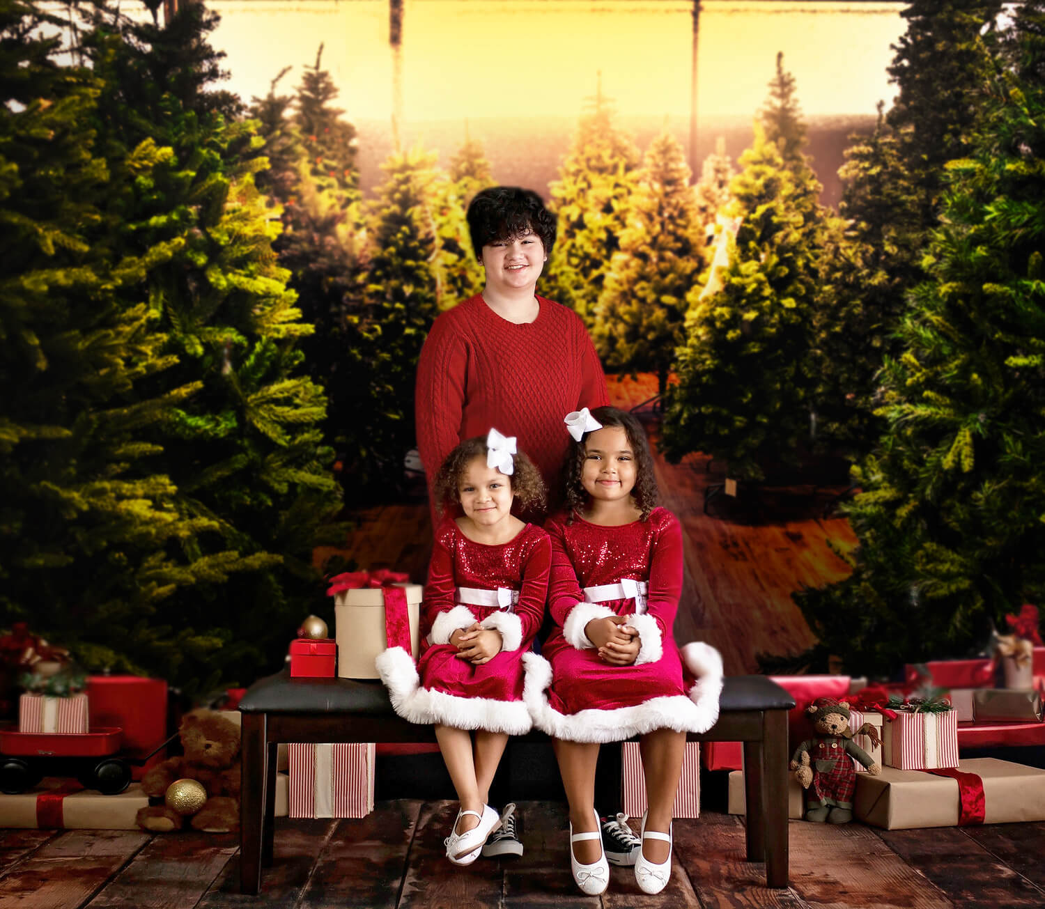 Christmas Trees Farm Backdrop for Photography M10-13