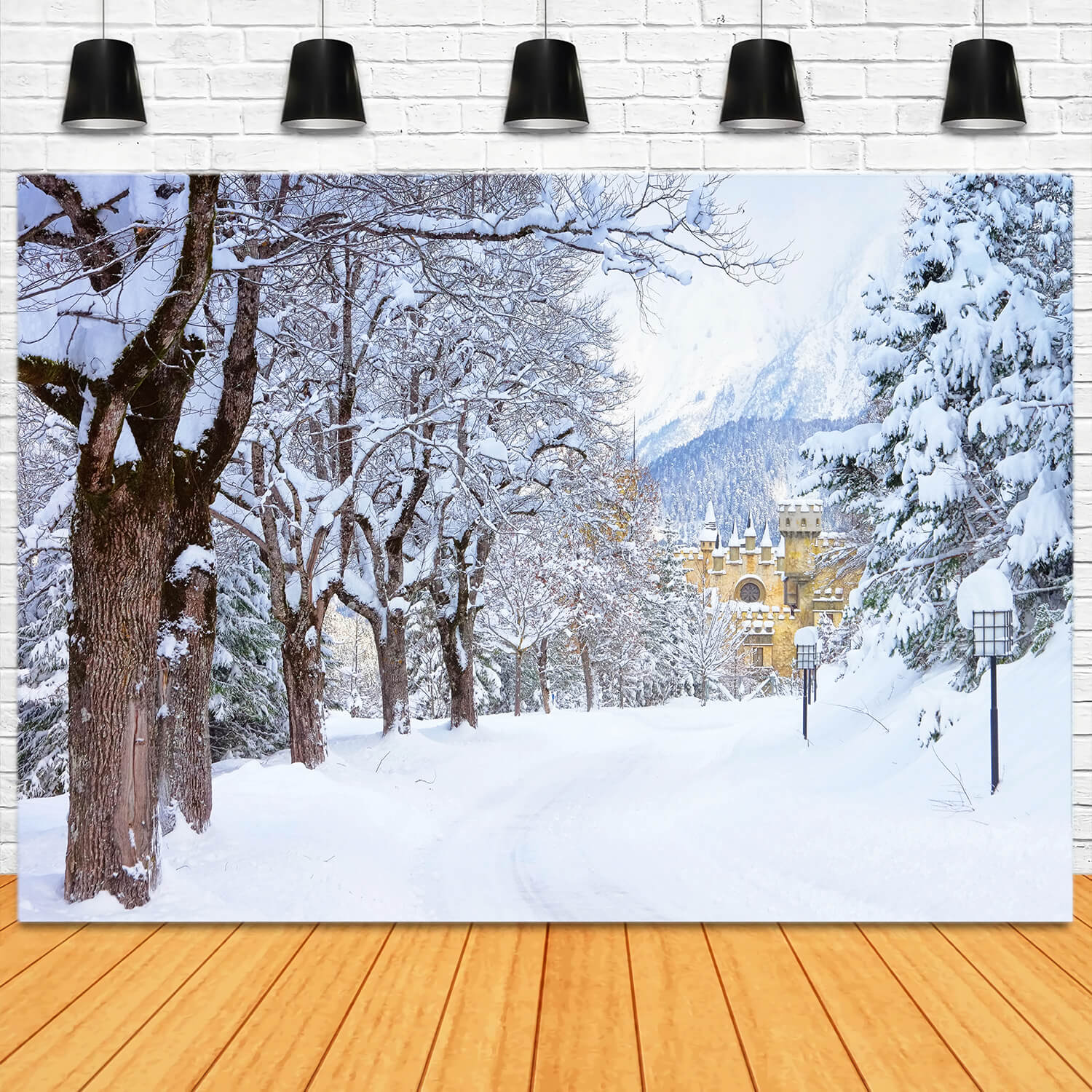 Winter Snowy Trees Road Castle Backdrop M11-12