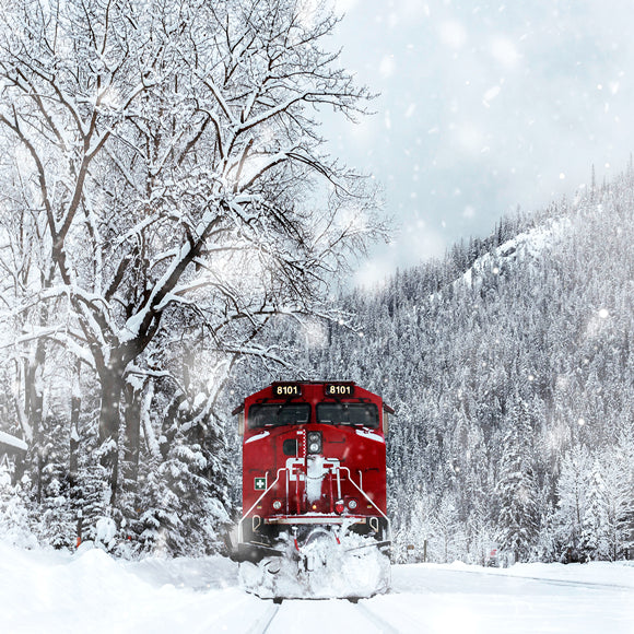 Winter Snow Covered Forest Train Backdrop M11-30