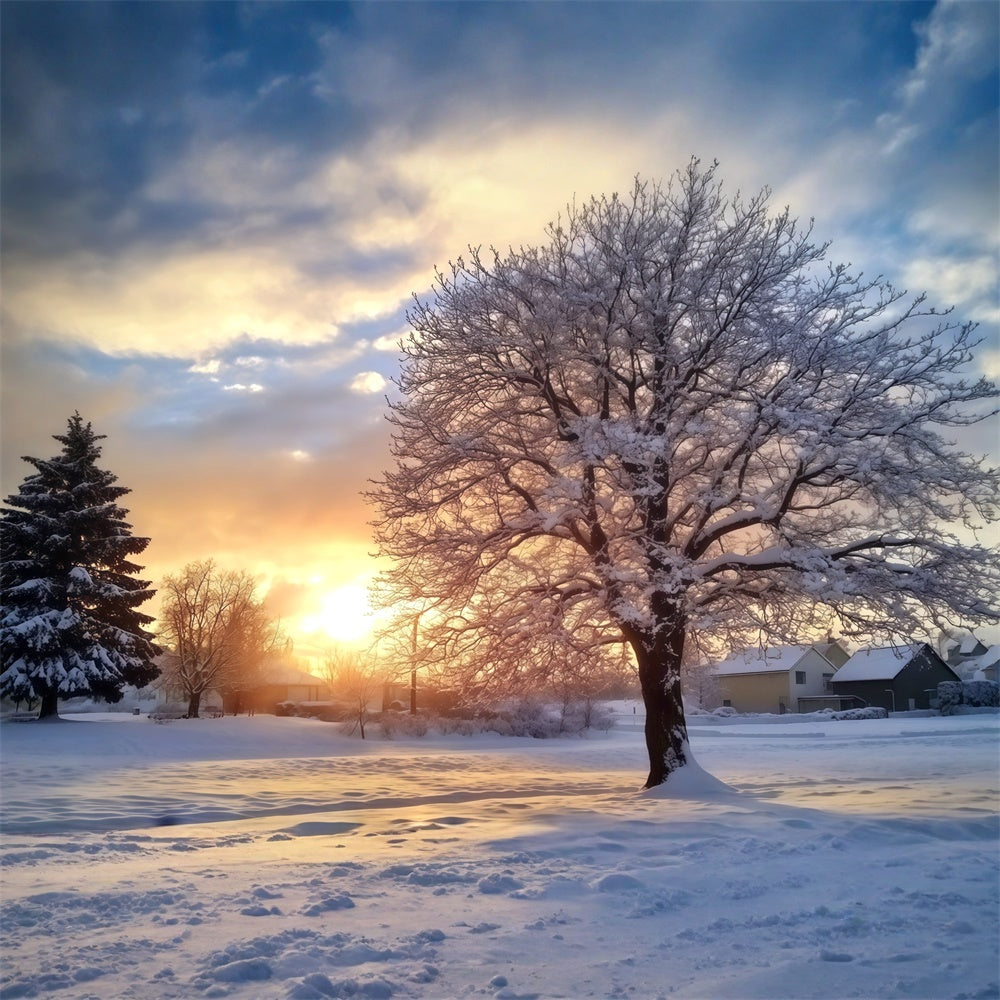 Backdrop Forest Winter Sunset Serenity Backdrop MRR7-107