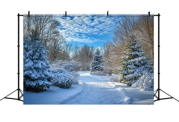 Winter Backdrops Clear Sky Snow Path Backdrop MRR7-151