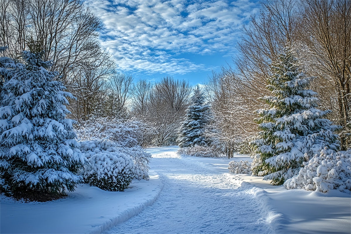 Winter Backdrops Clear Sky Snow Path Backdrop MRR7-151