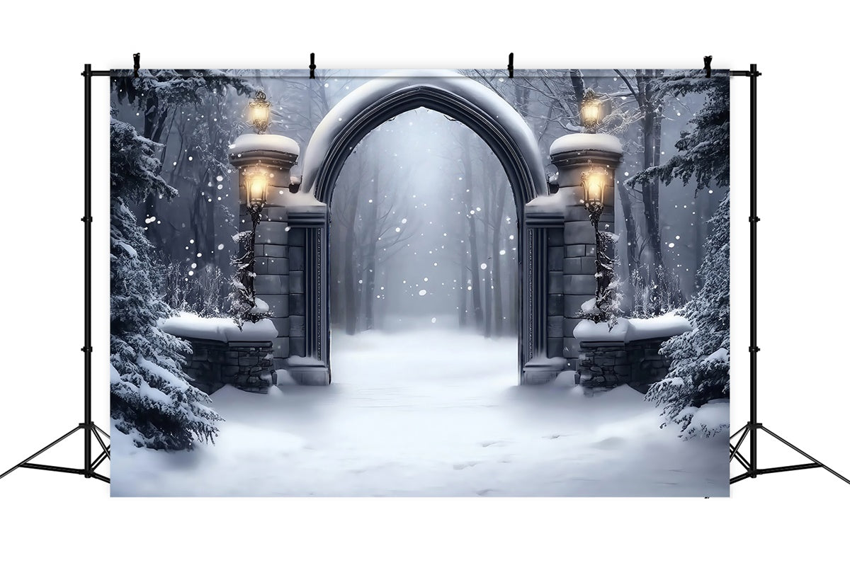 Winter Snow Backdrop Gothic Snow Gate Backdrop MRR7-152
