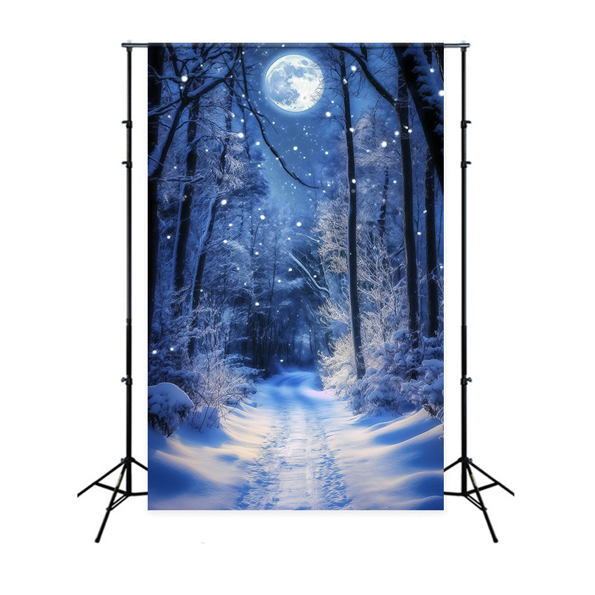 Winter Forest Backdrop Glowing Moon Trail Backdrop MRR7-180