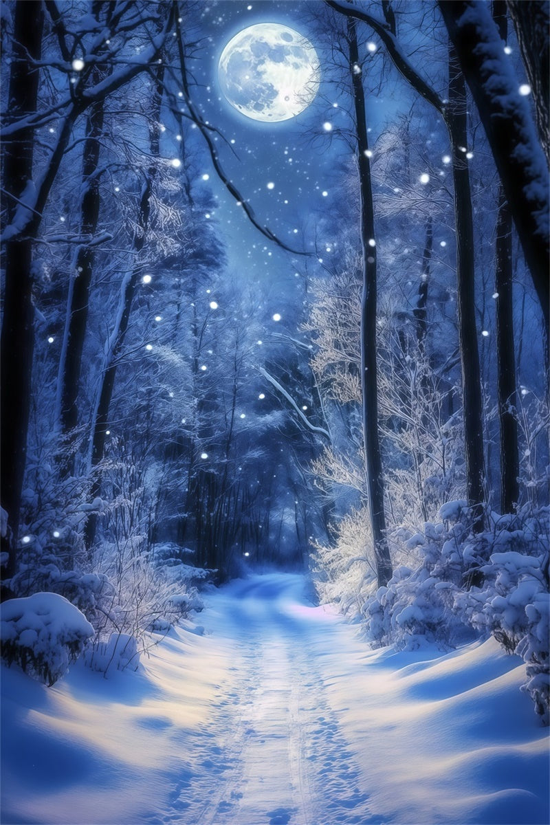 Winter Forest Backdrop Glowing Moon Trail Backdrop MRR7-180