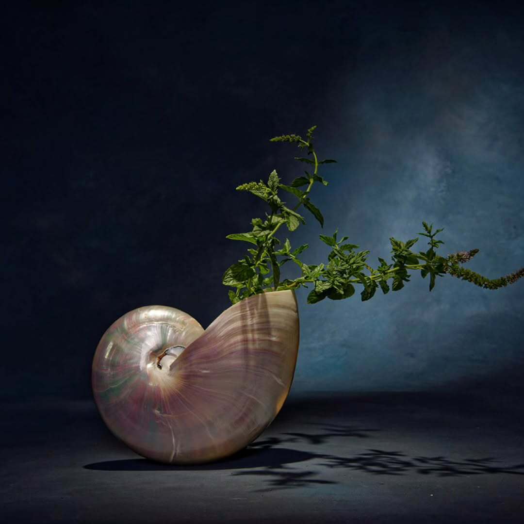 Abstract Black Blue Texture Studio Backdrop for Photography DHP-220