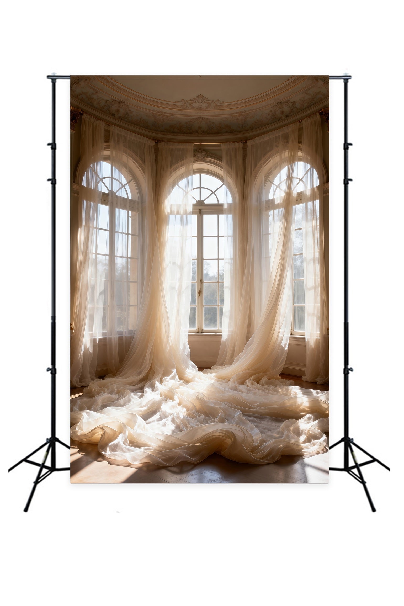 Backdrops For Boudoir Photography Sunlit Sheer Palace Windows Classic Backdrop RR62-95