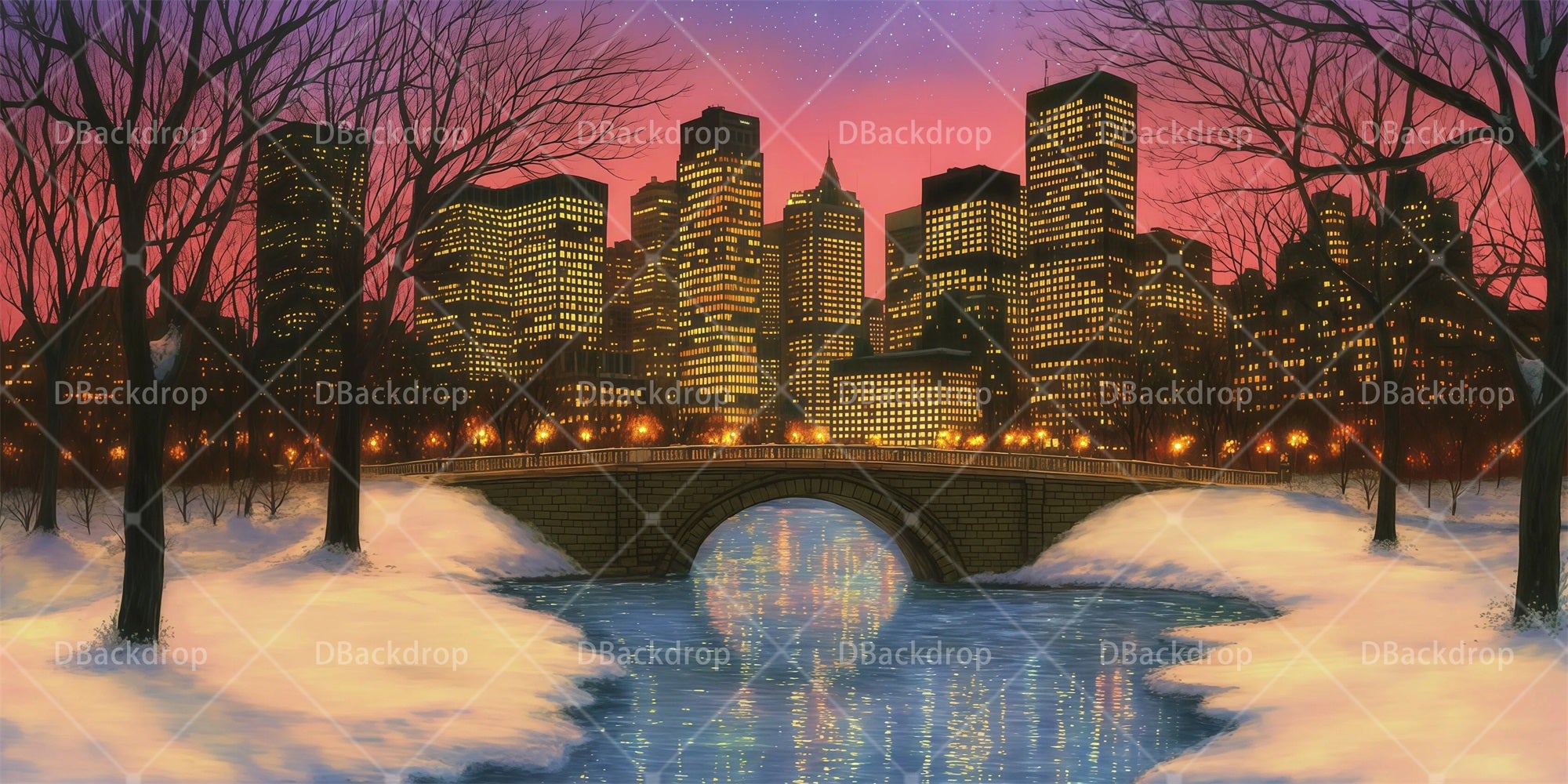 Theater Stage Backdrop Snowy Central Park Performance Backdrops RR66-T4