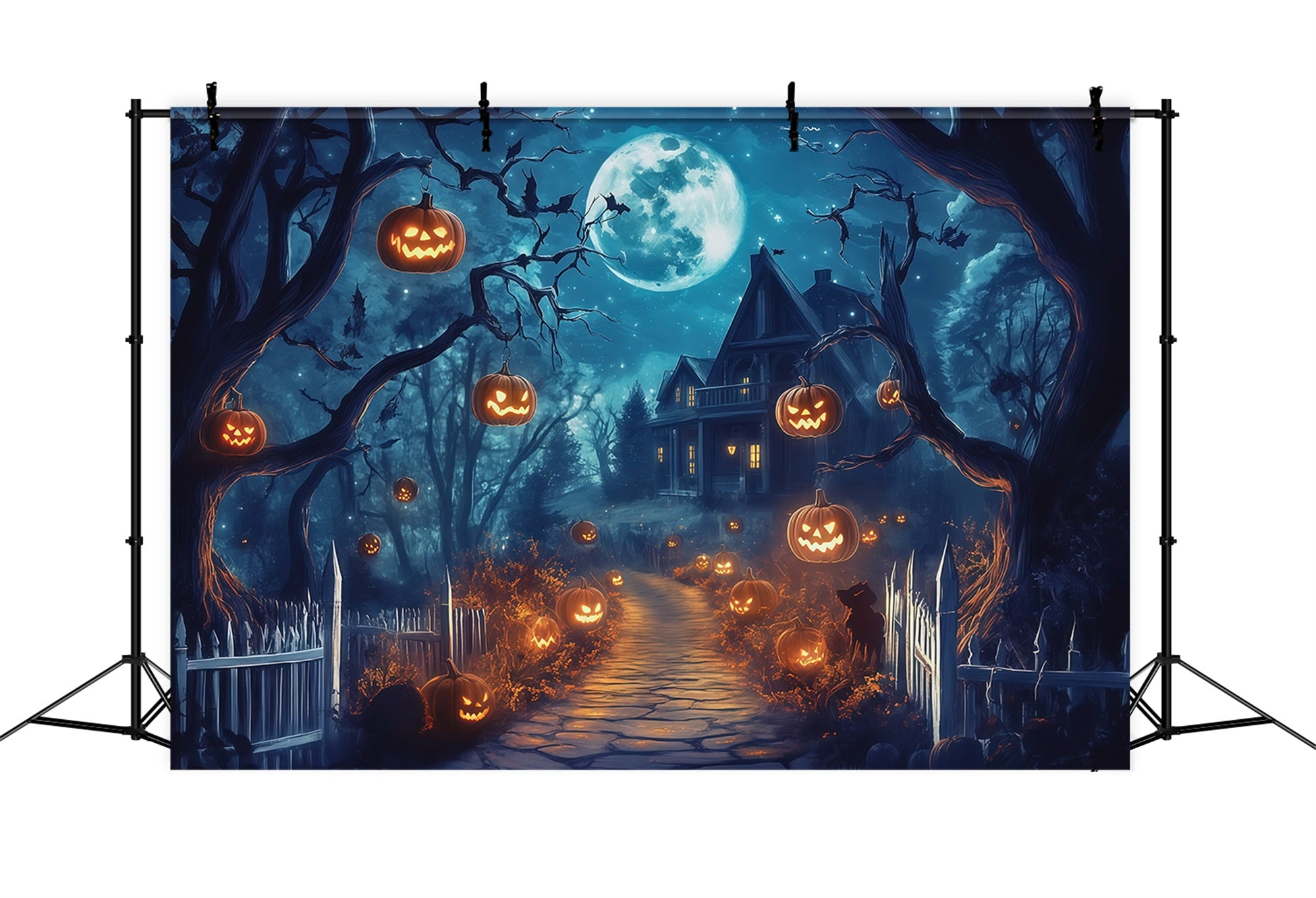 Halloween Outdoor Backdrop Moonlit Pumpkin House Path Halloween Backdrops For Photos RR67-61