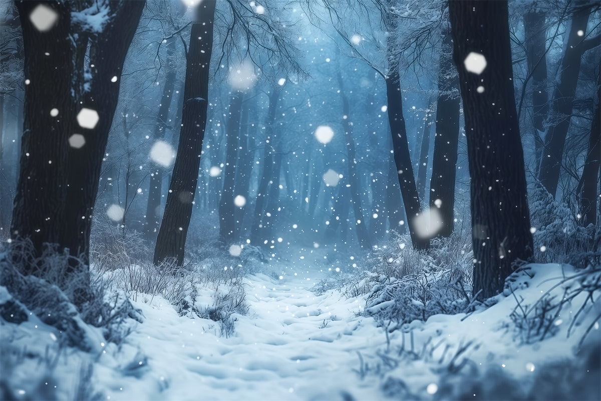 Snowy Christmas Backdrop Misty Winter Forest Photography Christmas Backdrops RR69-66
