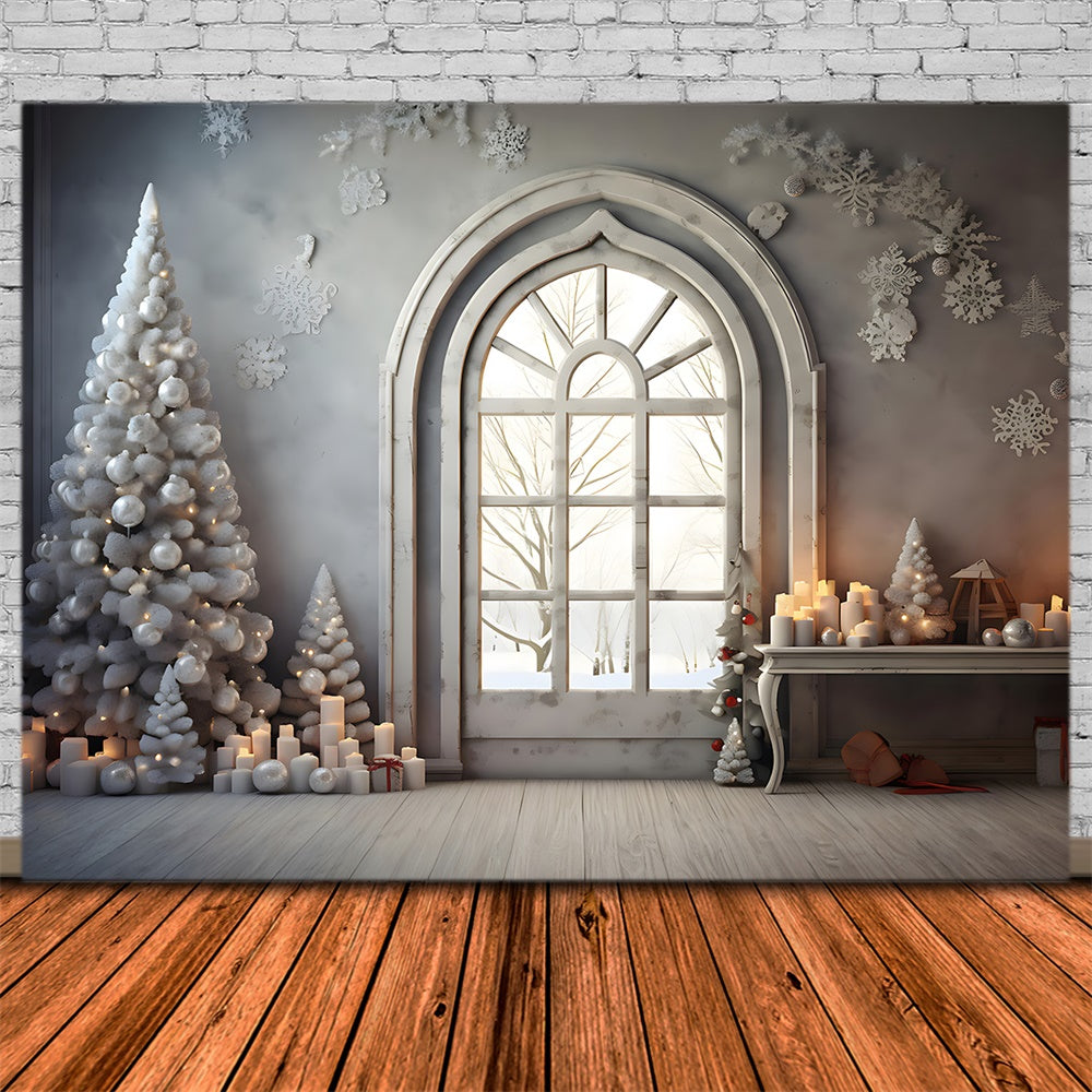 Christmas Arched Window Snowflake Backdrop RR8-224