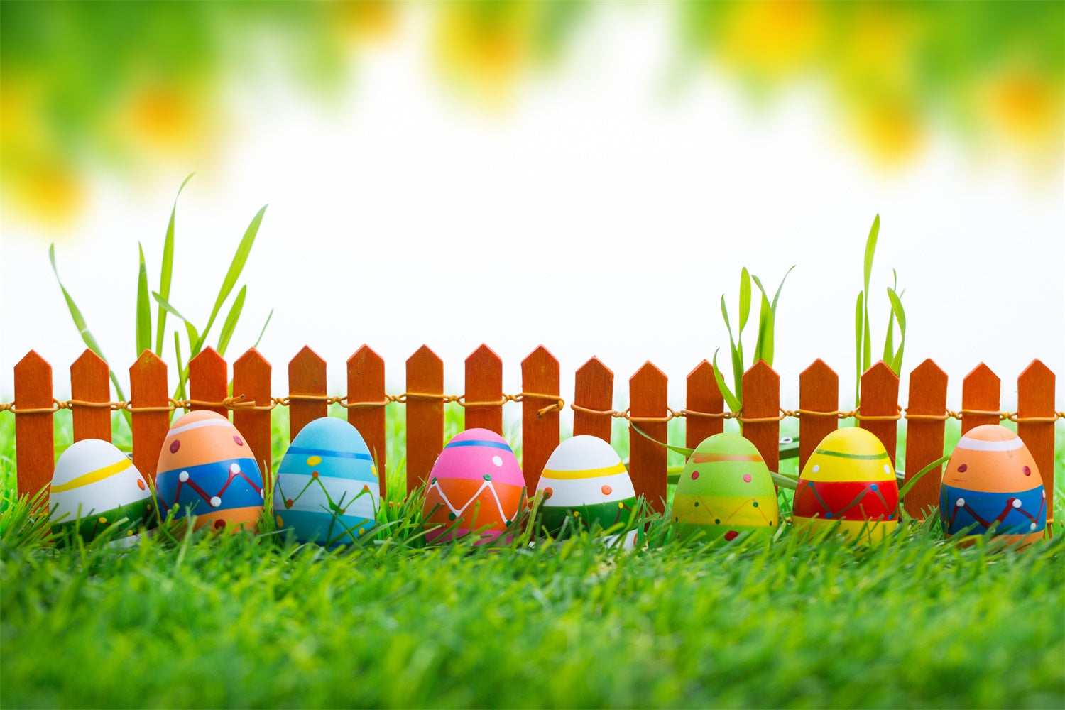 Easter Photo Backdrop Vibrant Painted Egg Display Backdrop TWW3-19
