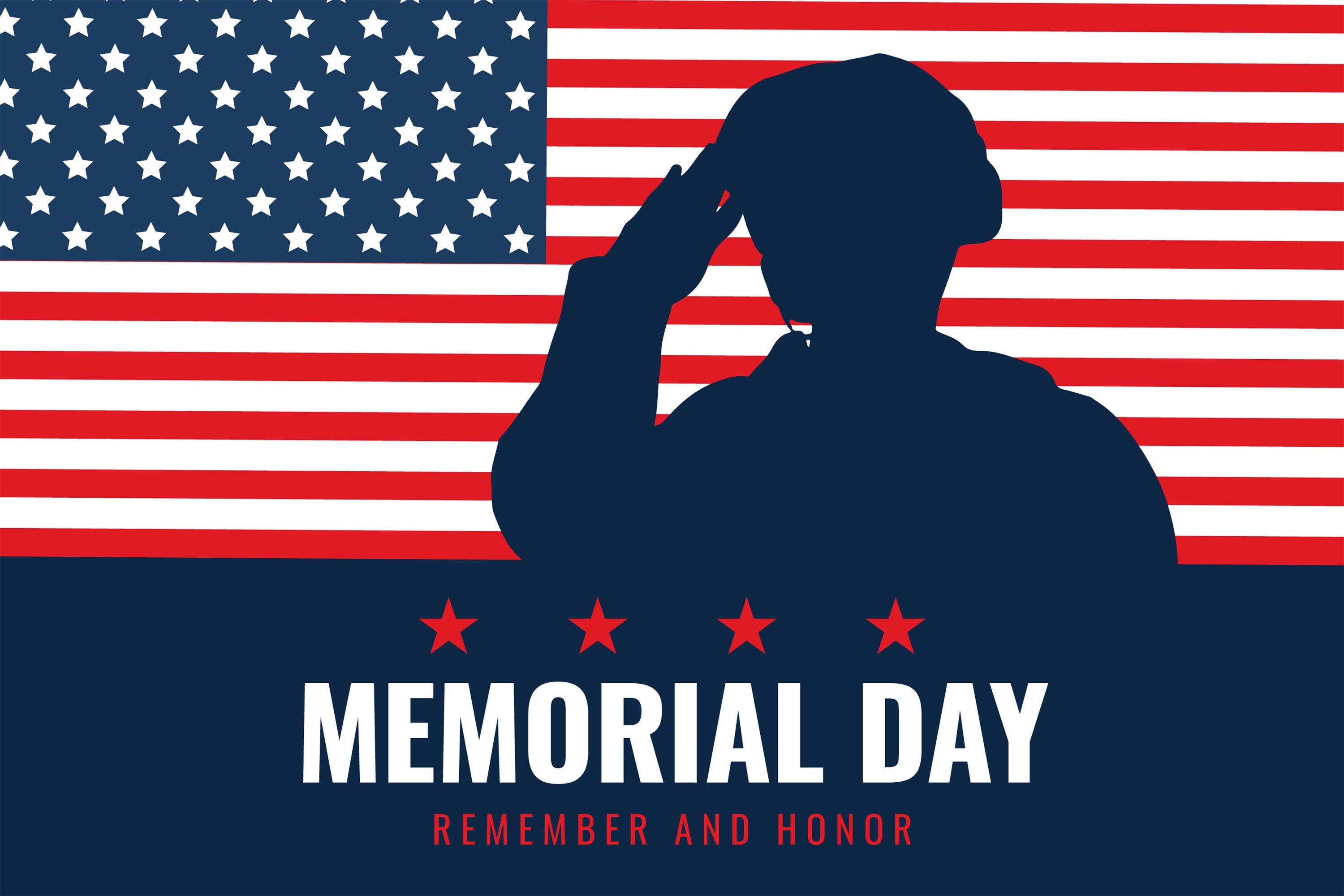 Memorial Backdrops Salute Heroes American Flag Backdrop TWW4-24