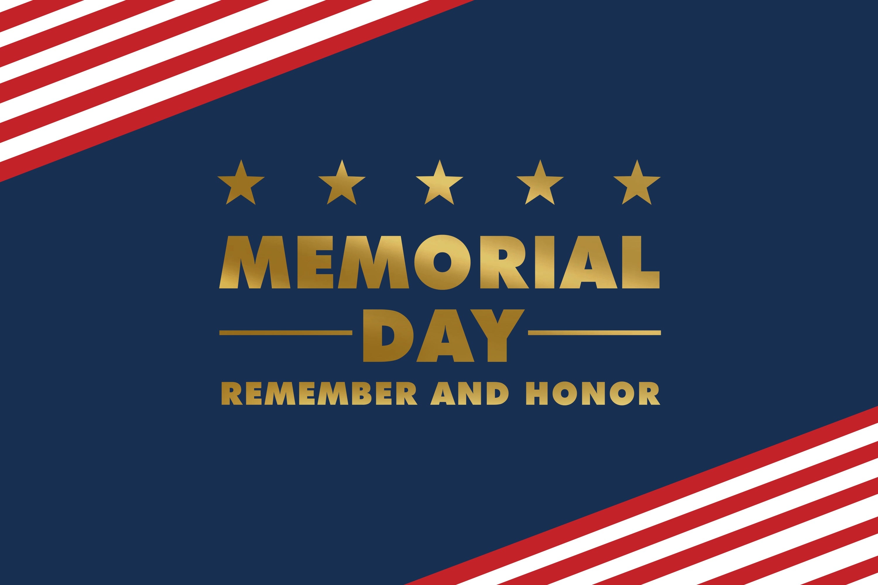 Memorial Day Backdrop Elegant Navy Blue Stars Backdrop TWW4-48