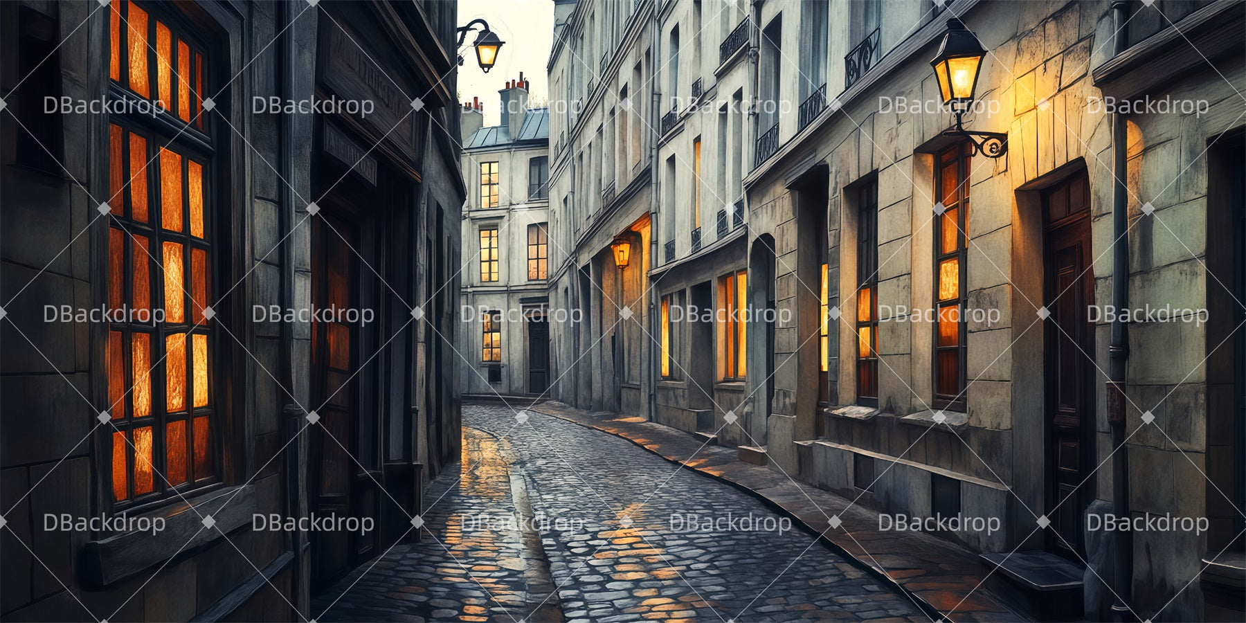 Movie Theater Backdrop The Parisian Streets Performance Backdrops TWW511-T93