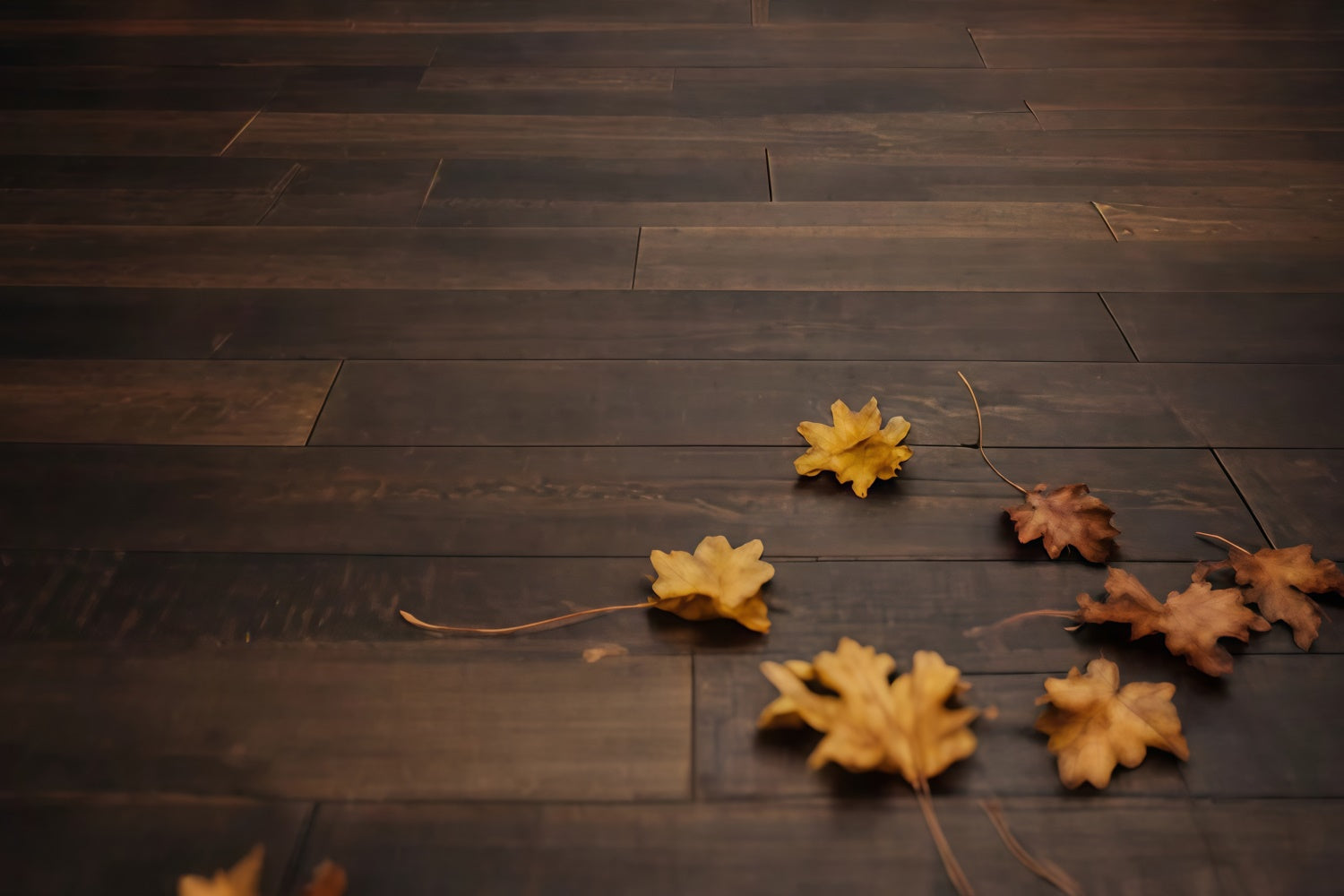 Backdrop Floor Walnut Fallen Leaves Floor Backdrop TWW57-20