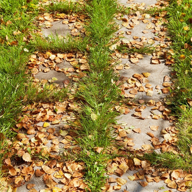 Photo Backdrop Floor Autumn Leaf Pathway Floor Backdrop TWW57-25