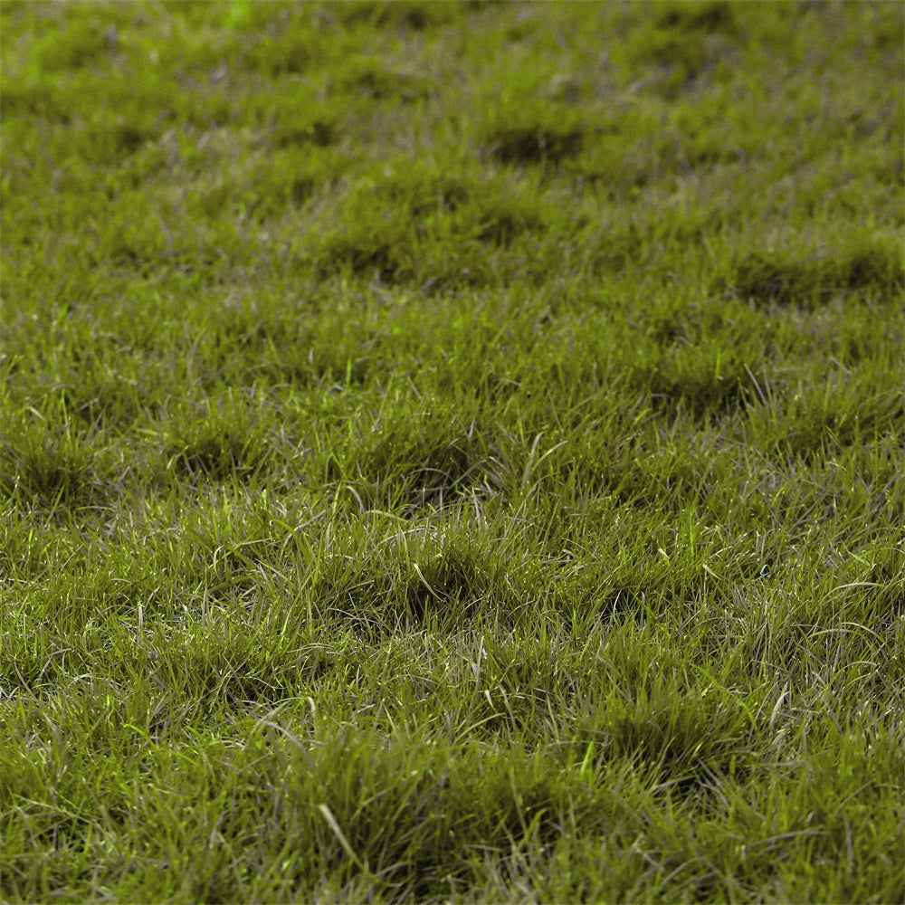 Floor Backdrop Photography Natural Turf Grass Floor Backdrop TWW57-27