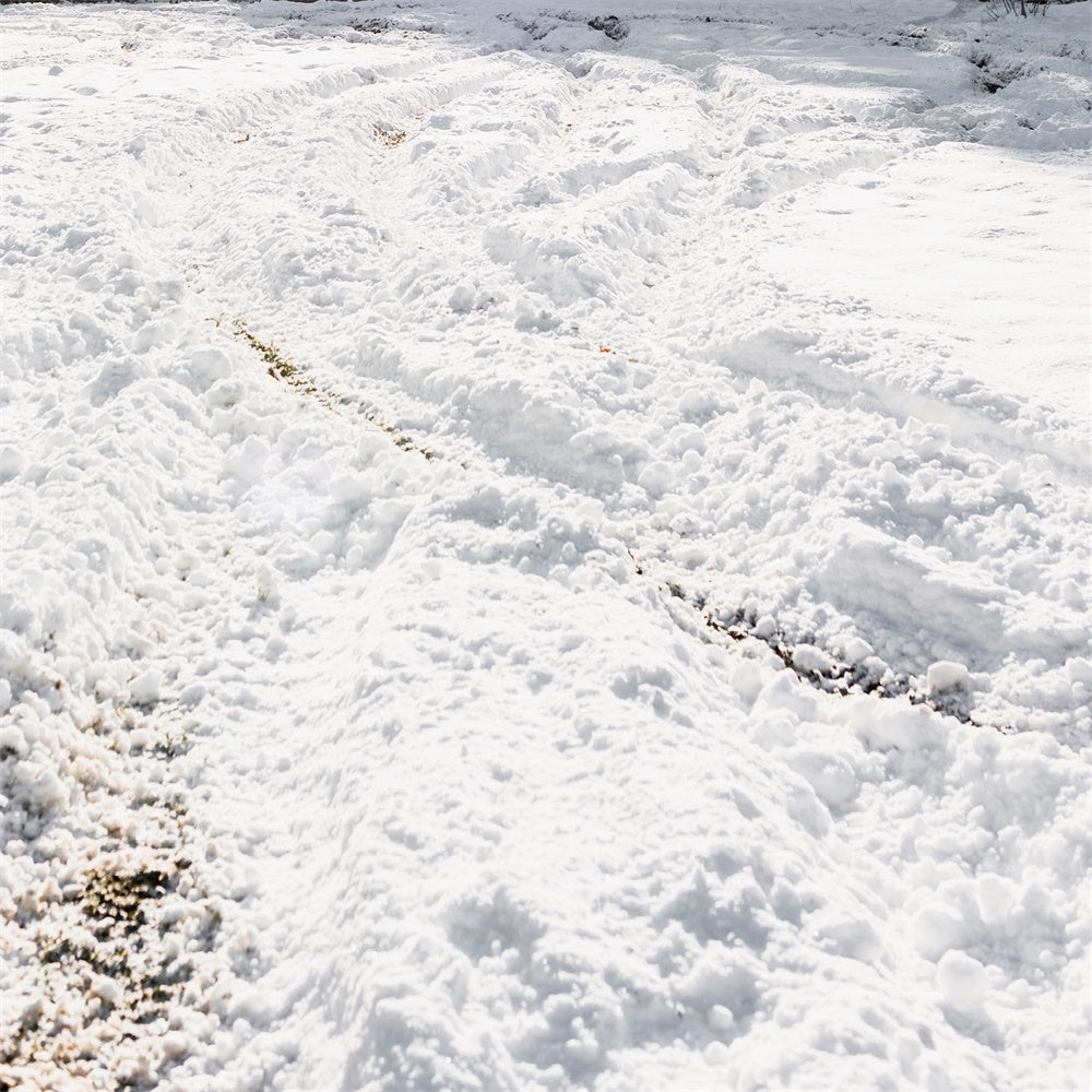 Snow Floor Backdrop Winter Tire Tracks Floor Backdrop TWW57-34