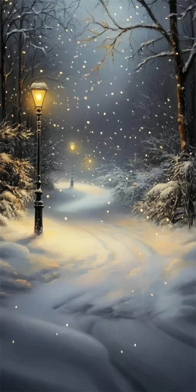 Winter Forest Backdrop Snowfall Lantern Path Sweep Backdrop TWW57-85