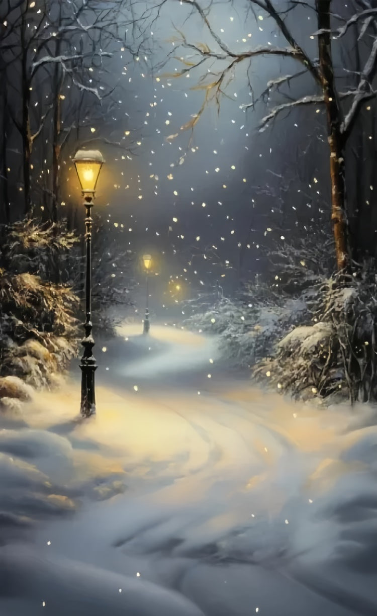 Winter Forest Backdrop Snowfall Lantern Path Sweep Backdrop TWW57-85