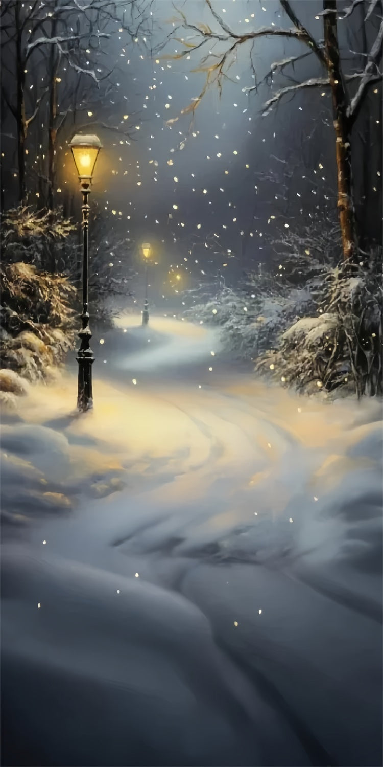 Winter Forest Backdrop Snowfall Lantern Path Sweep Backdrop TWW57-85