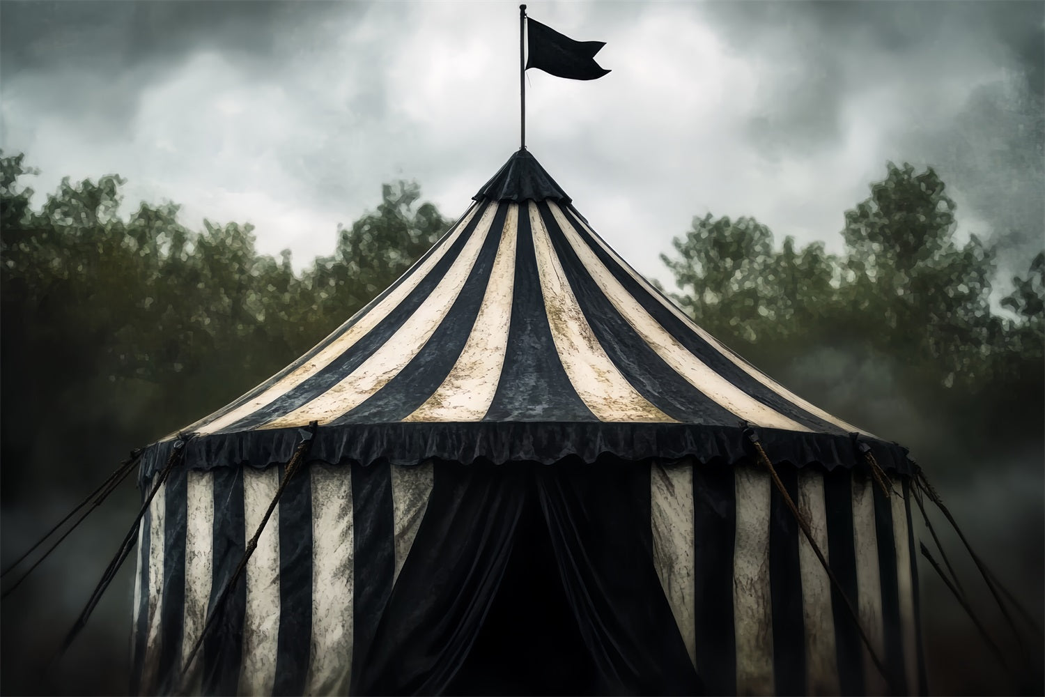 Carnival Tent Backdrop Vintage Black White Tent Circus Carnival Backdrop TWW59-10