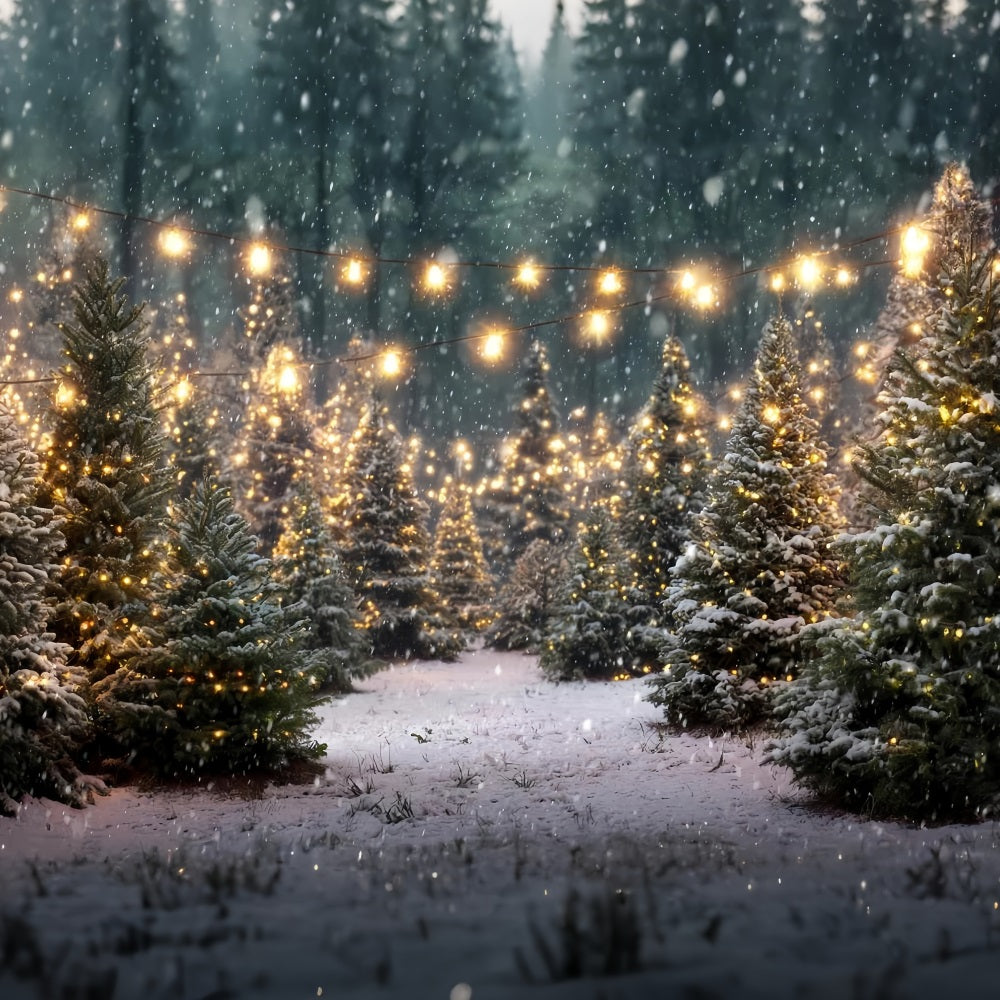 Christmas Farm Backdrop Twinkling Forest Lights Christmas Tree Backdrop TWW59-116