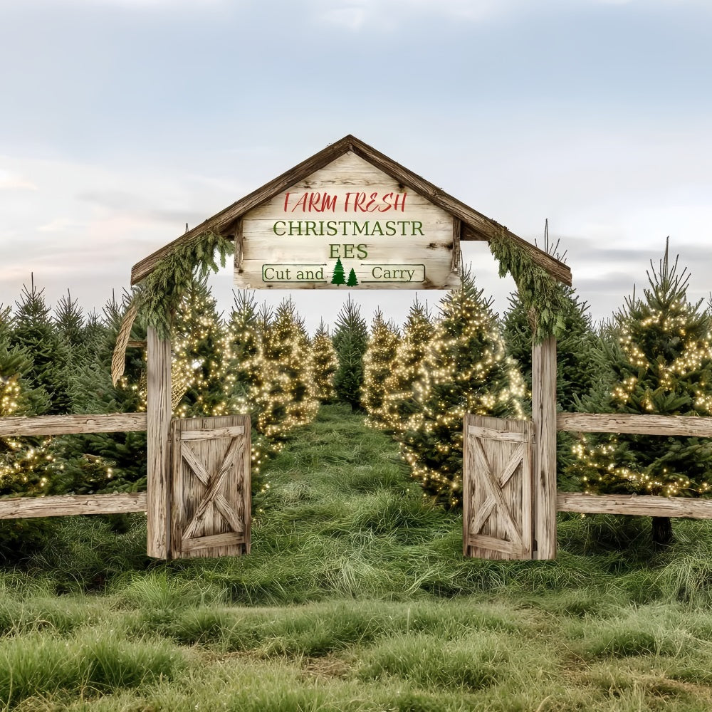 Christmas Farm Backdrop Farm Fresh Evergreen Path Professional Christmas Backdrops TWW59-124