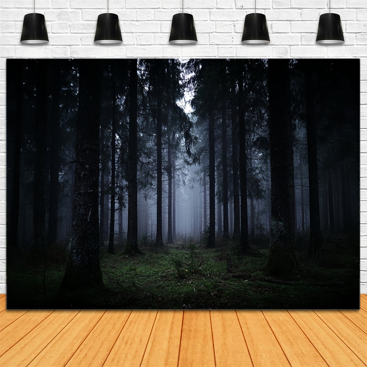 Spooky Forest Backdrop Dark Misty Pine Woods Dark Forest Backdrop TWW59-132