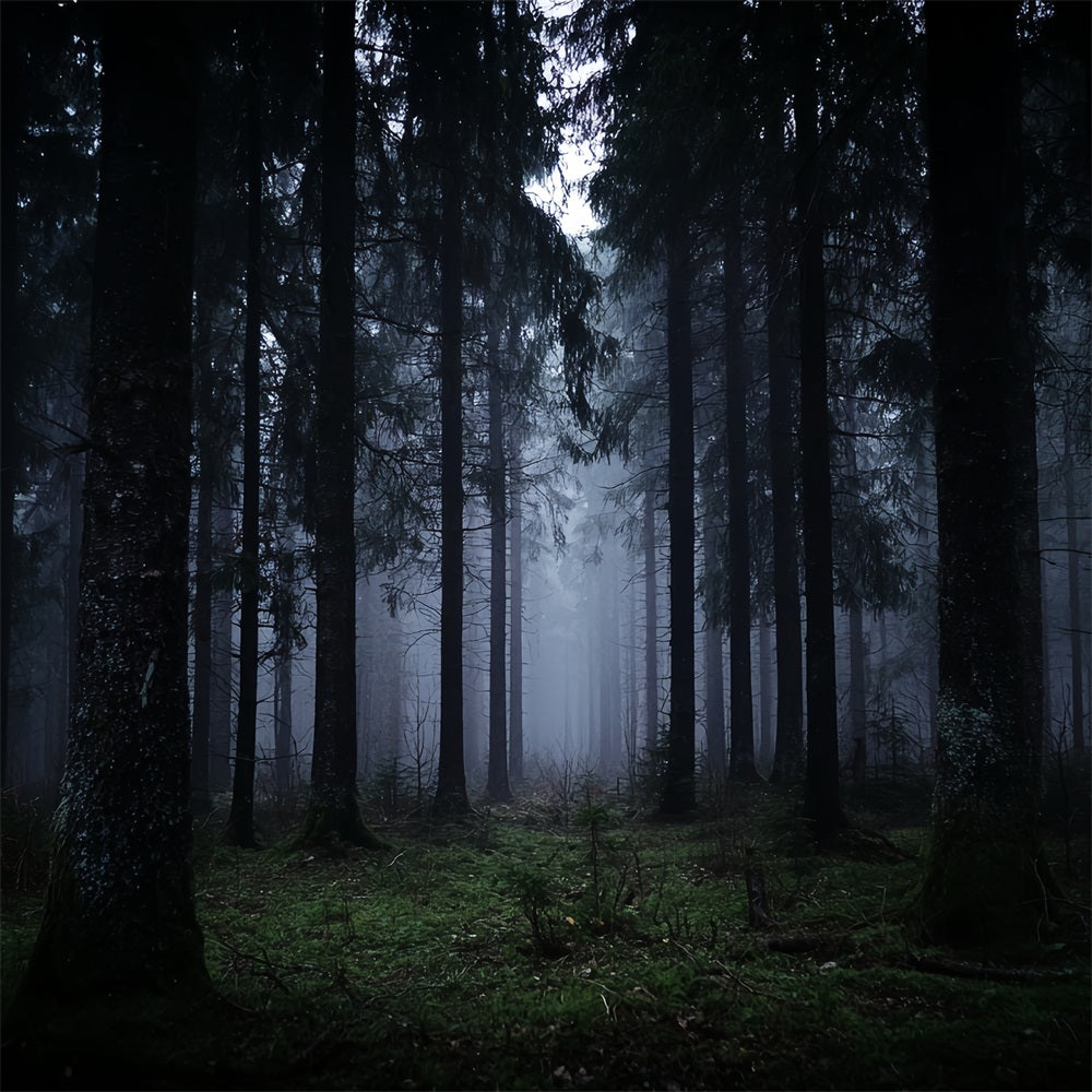 Spooky Forest Backdrop Dark Misty Pine Woods Dark Forest Backdrop TWW59-132