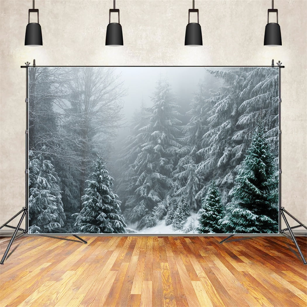 Winter Forest Backdrop Frosted Evergreen Silence Snow Forest Backdrop TWW59-134