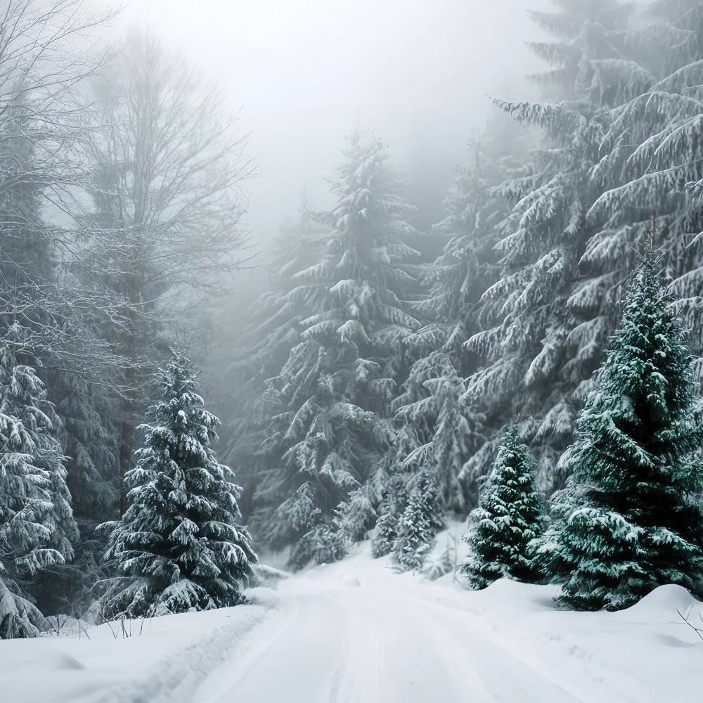 Winter Forest Backdrop Frosted Evergreen Silence Snow Forest Backdrop TWW59-134