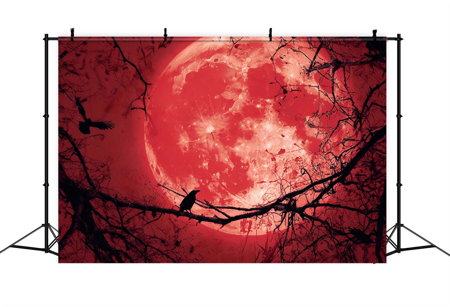 Halloween Moon Backdrop Bloody Moon Raven Silhouette Halloween Backdrops TWW59-83