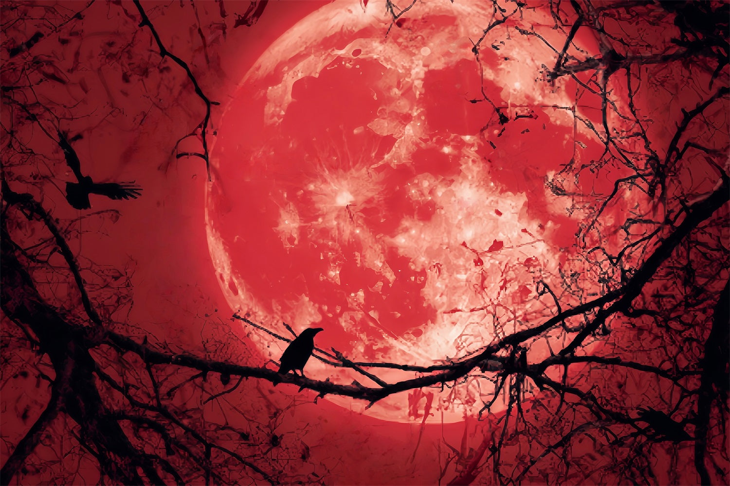 Halloween Moon Backdrop Bloody Moon Raven Silhouette Halloween Backdrops TWW59-83