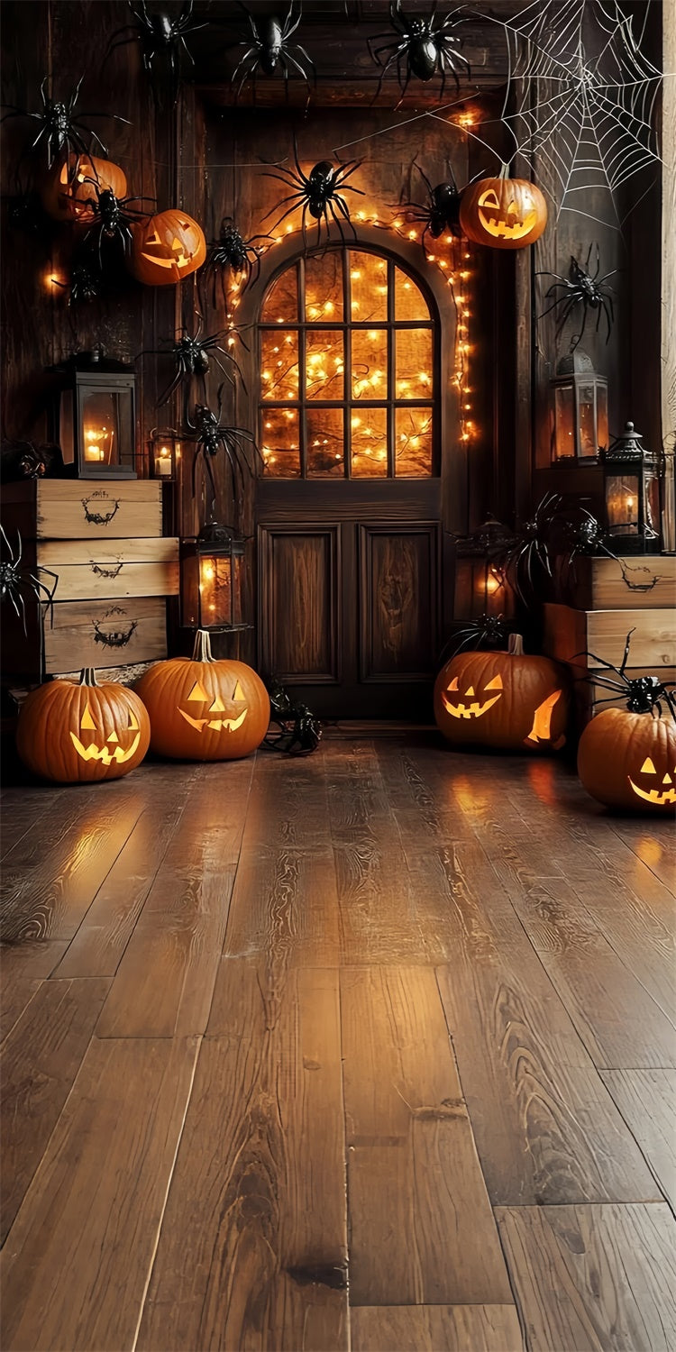 Halloween Picture Backdrop Pumpkin Spider Porch Sweep Backdrop TWW6-76